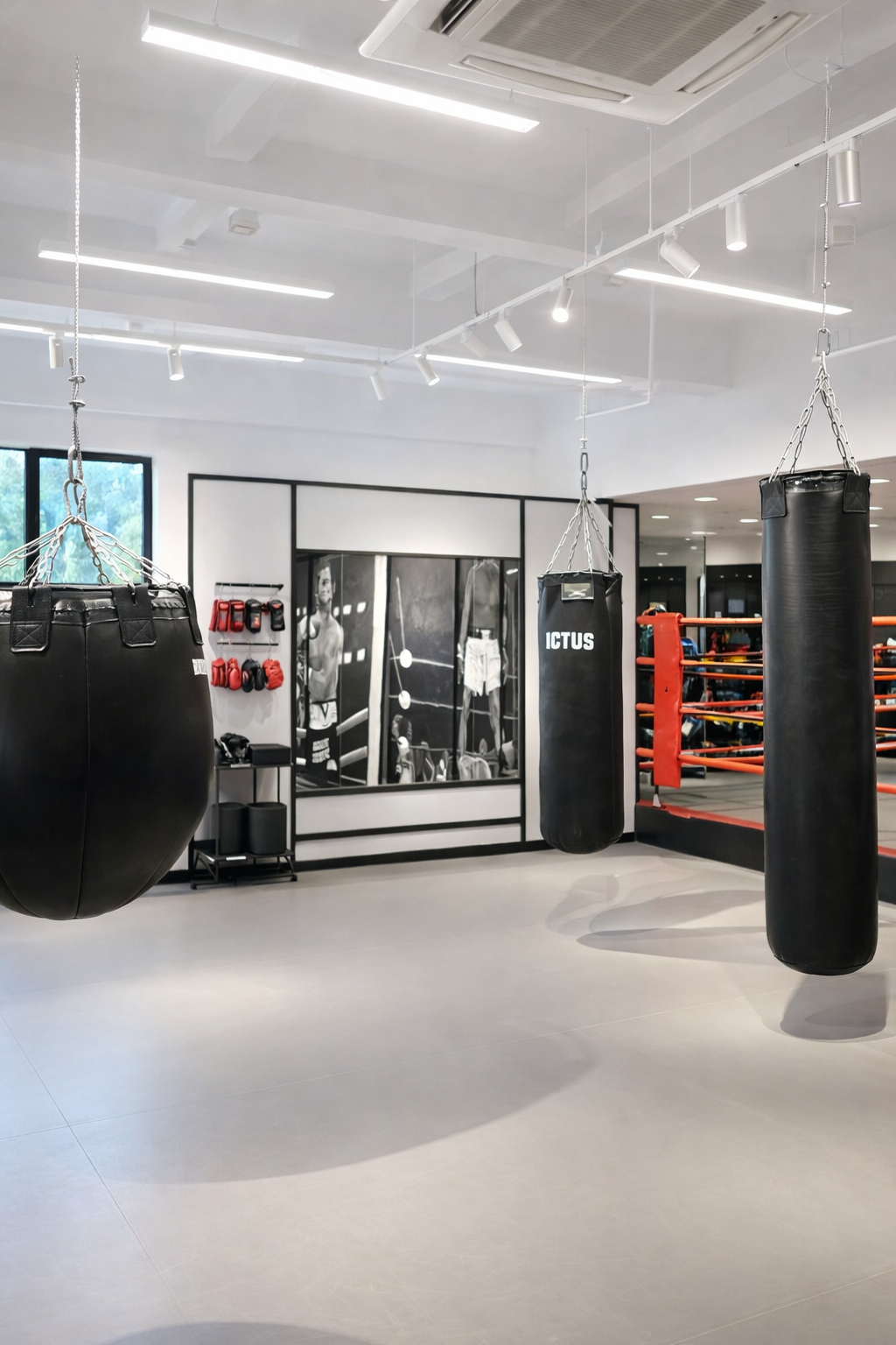Martial Arts
